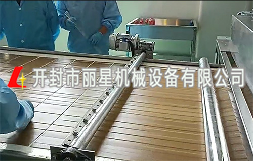 保鲜粉条加工设备