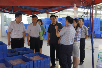 通许县**光临宏胜国际|Home食品公司