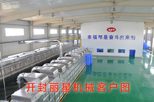 河南俏丽琪食品有限公司引进宏胜国际|Home方便粉丝出产线