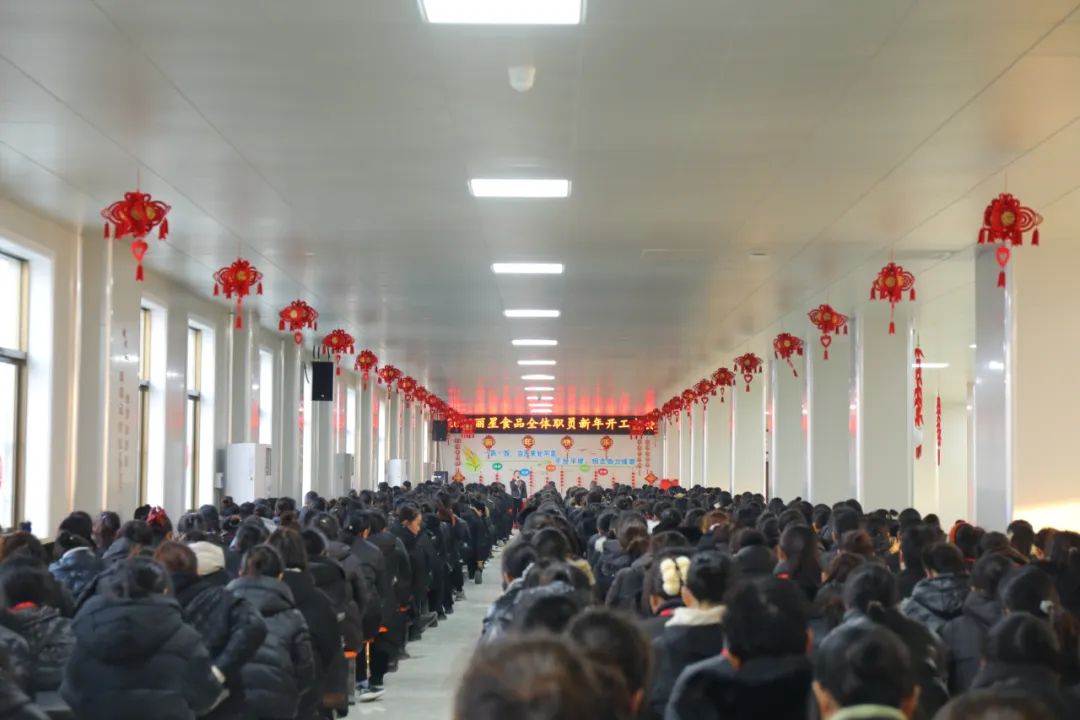 玉兔迎新春，奋进新征程