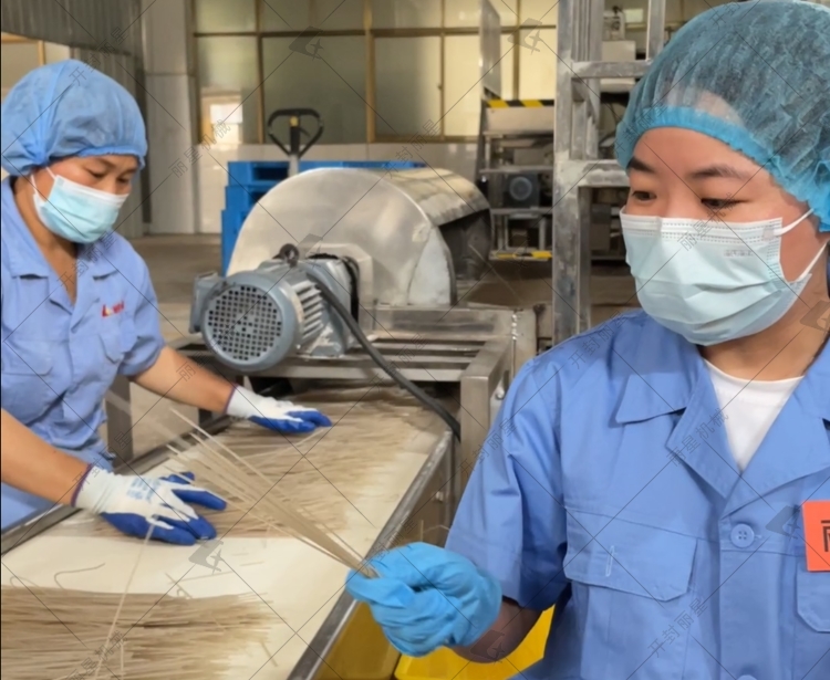 选宏胜国际|Home水晶粉丝粉条出产流水线，节能又环保