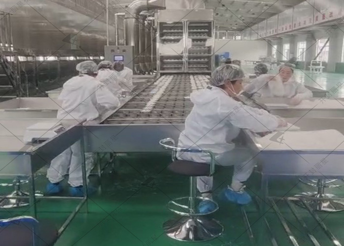 山西日产10吨的粉丝出产线试机现场